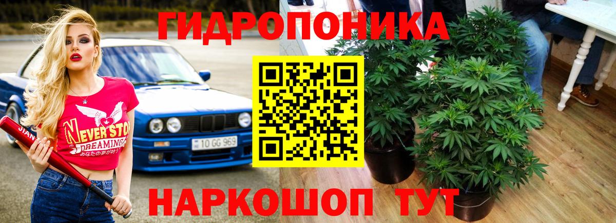 Каннабис Amnesia  Шишки марихуана планчик  Шишки марихуана семена  Дзержинский  МАРИХУАНА MAZAR  Вход с VPN 